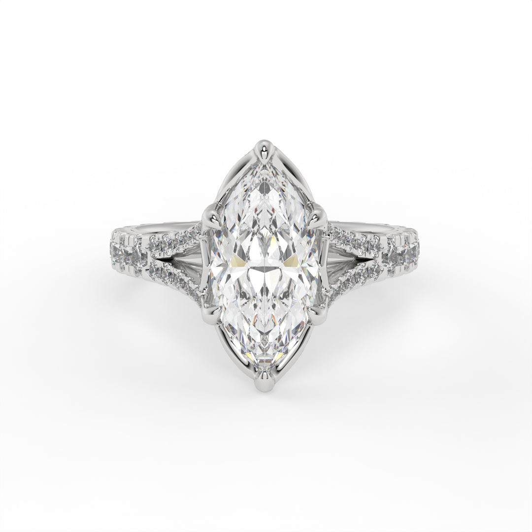 Divine Marquise Symphony