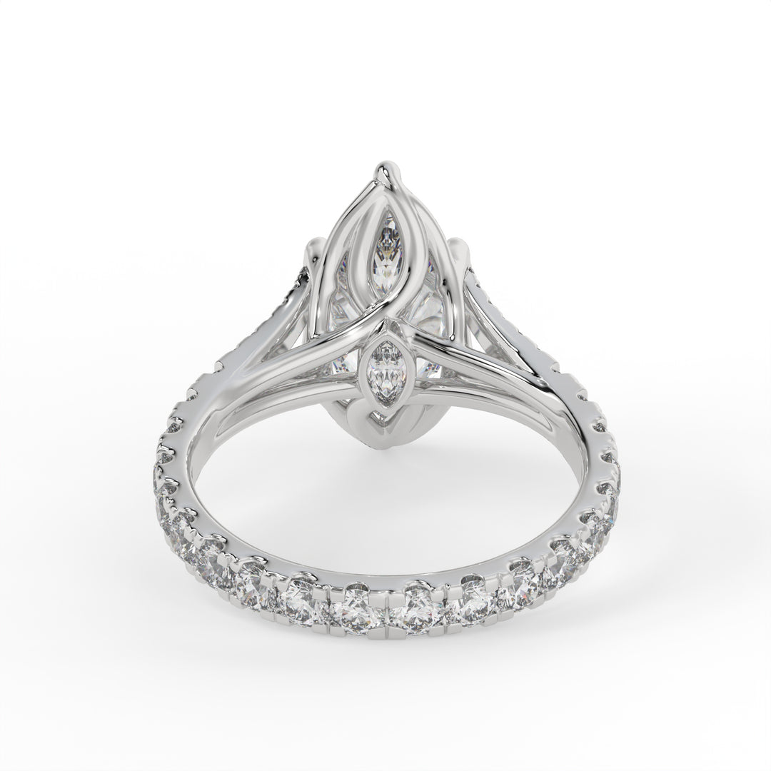 Divine Marquise Symphony