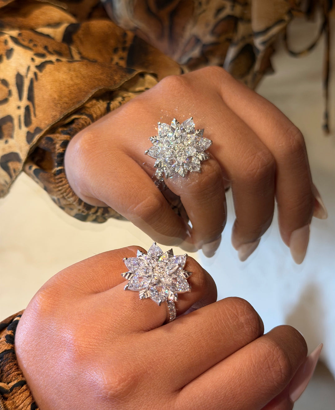 Dahlia Pavé Royale